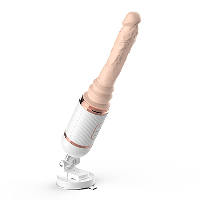 Einführung von Dildos