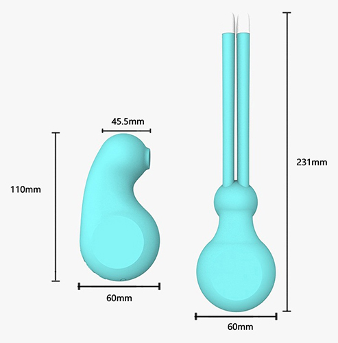 Parameter des Saug-Vibrators