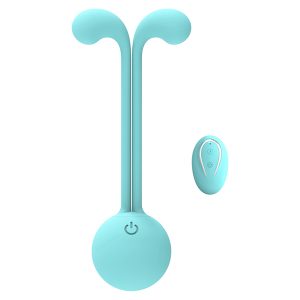tragbarer Fernbedienungsvibrator